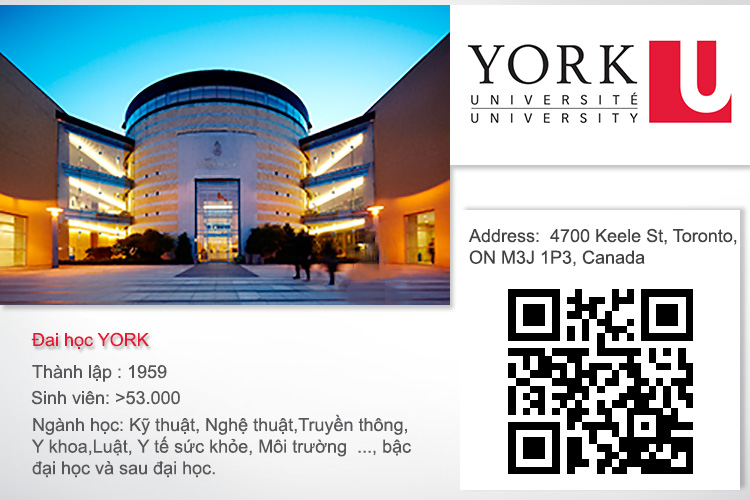 Đại học York