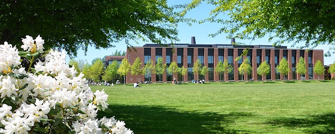 Nhận bằng cử nhân tại Mỹ khi học University Transfer Program (Chương trình Chuyển tiếp Đại học) tại Whatcom Community College